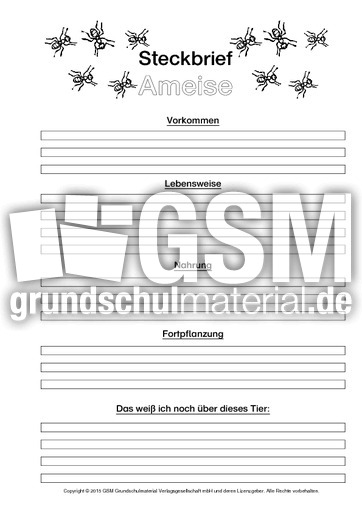 Ameise-Steckbriefvorlage-sw-2.pdf